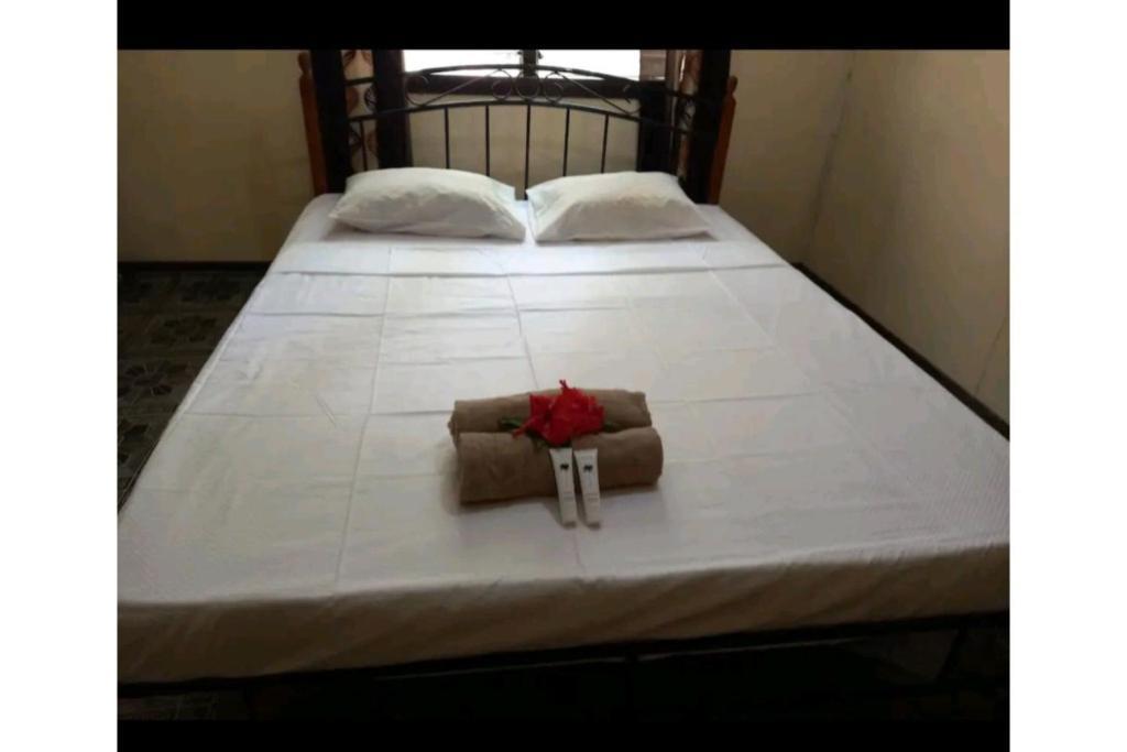 Homestay Wai Makare Soso